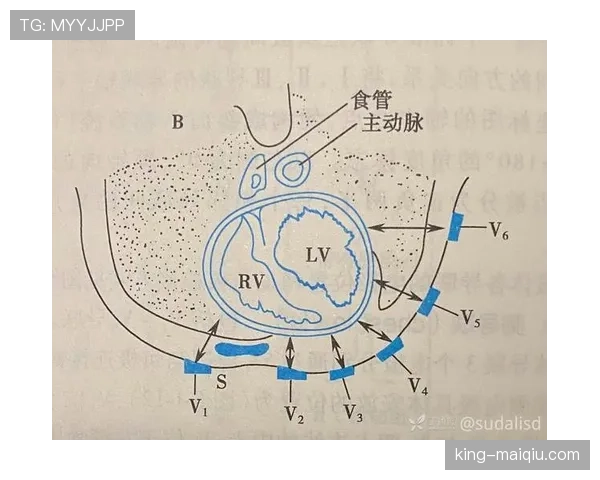 一分钟看懂八秒违例如何判定，让你不再为发球超时而困惑