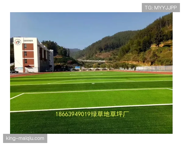 草坪场地规则拆解：标准尺寸与质量如何影响比赛判罚